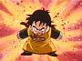 Dragonball Z (48)